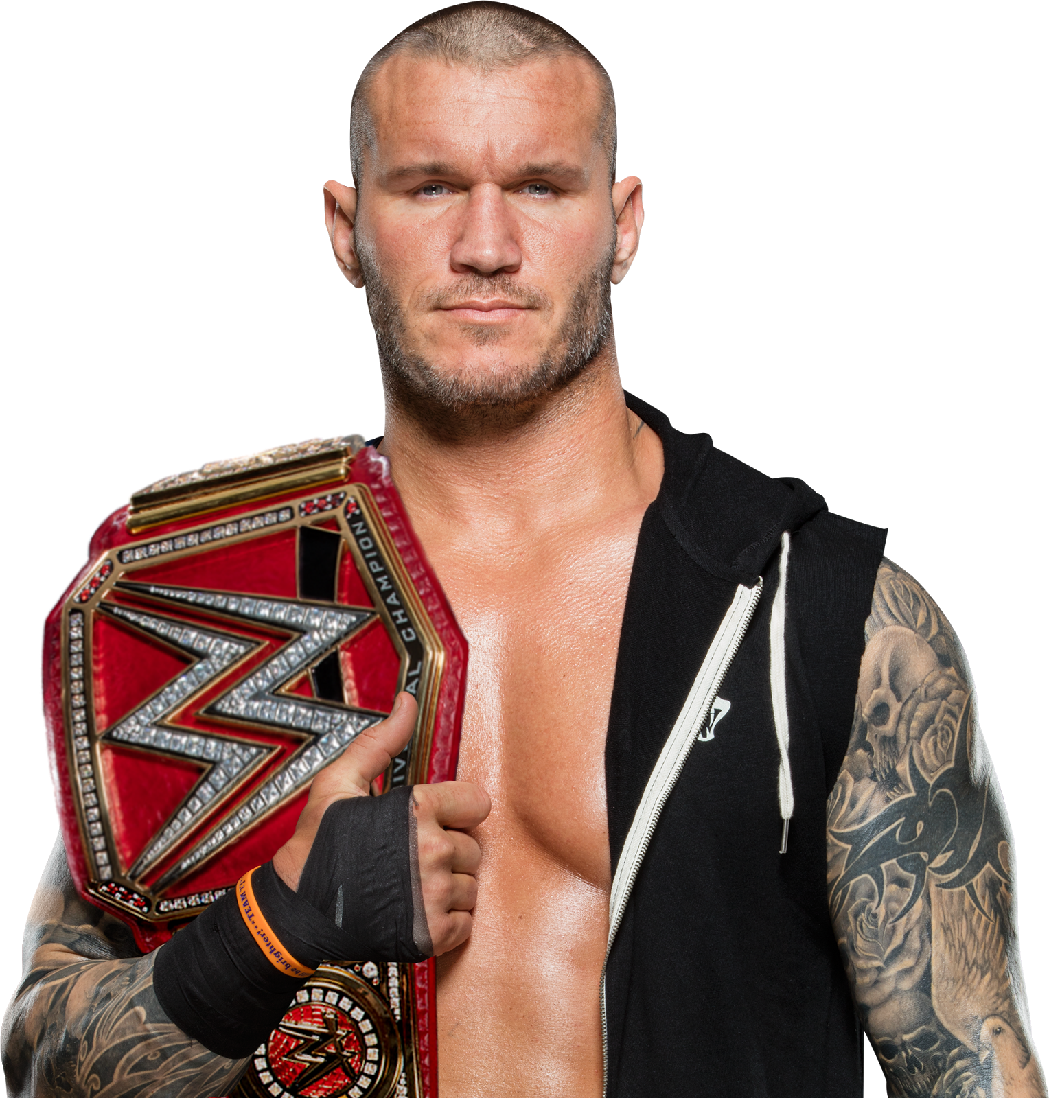 W W E Champion With Title Belt