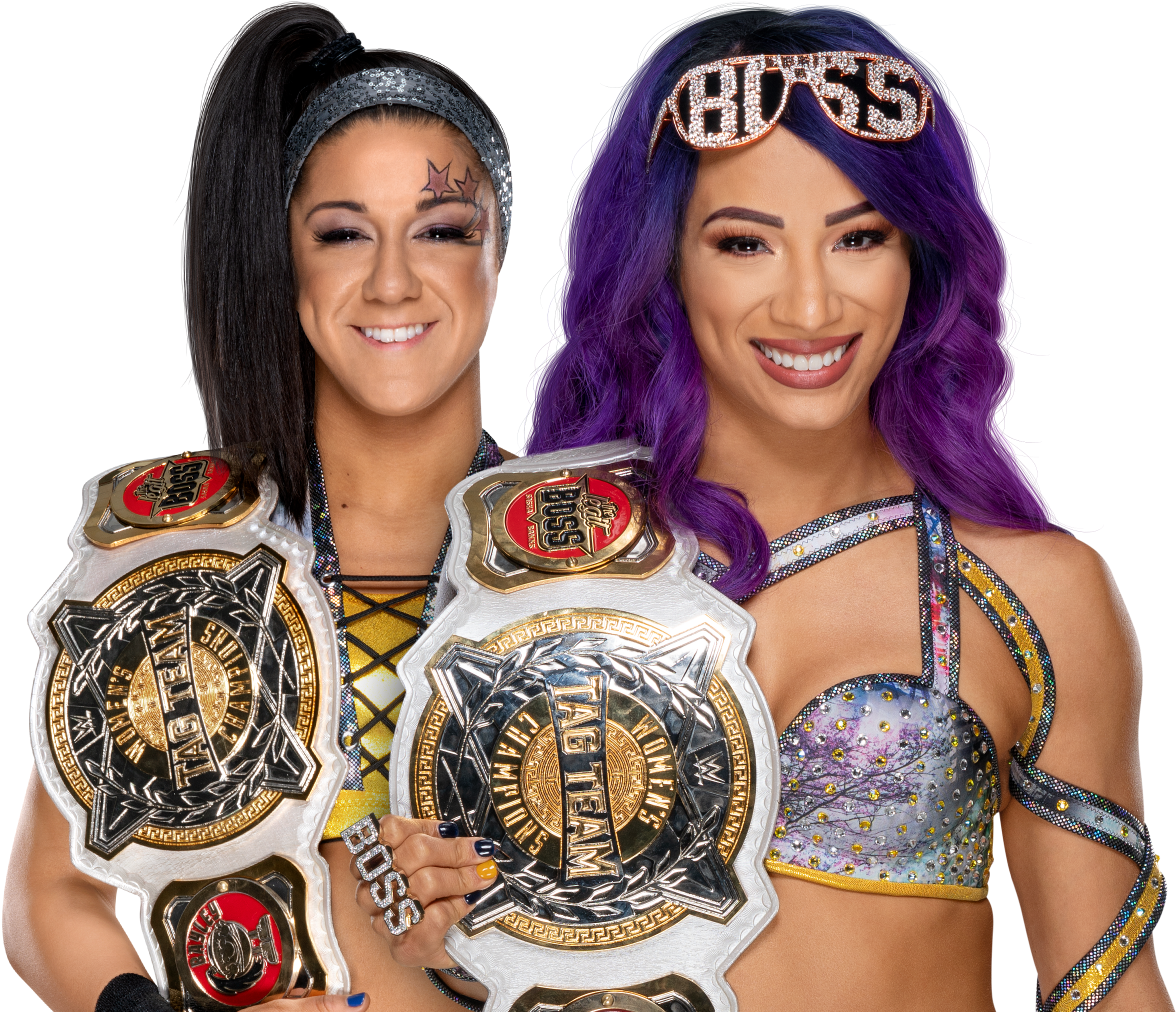 W W E Women Tag Team Champions