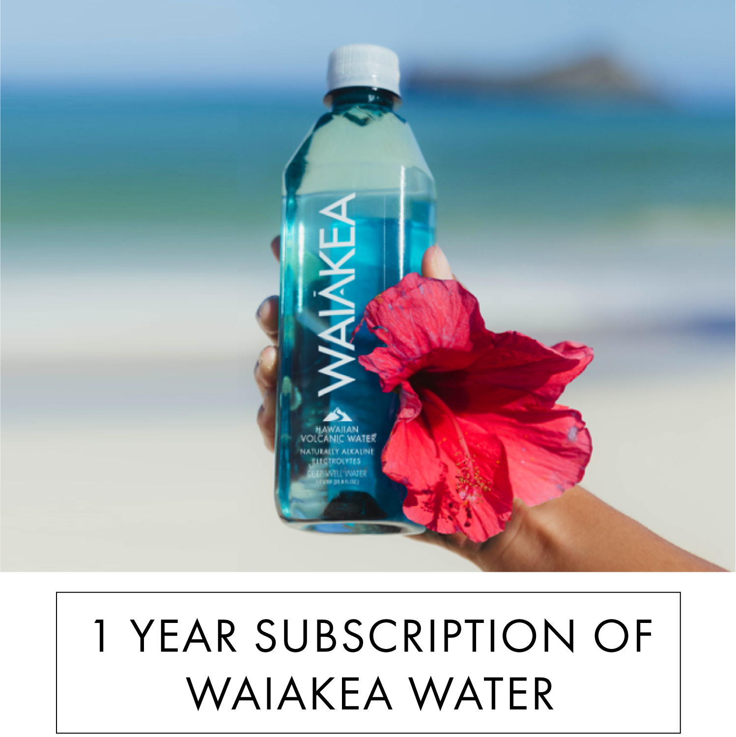 Waiakea Water Subscription Beach Background