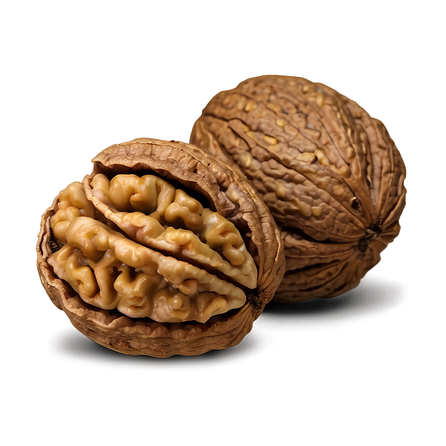 Walnut Closeup Png Dth