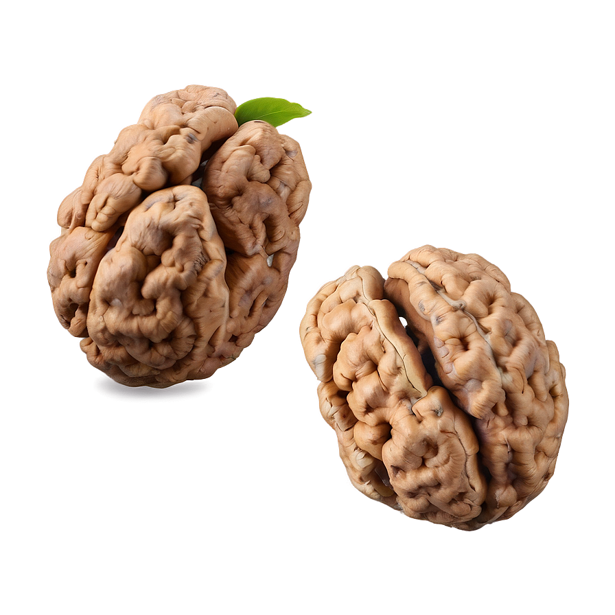 Walnut Cluster Png 68