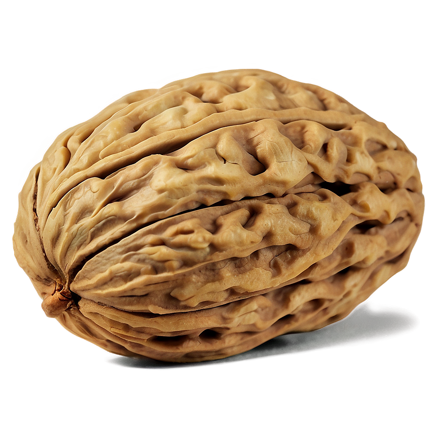 Walnut Kernel Png 06122024