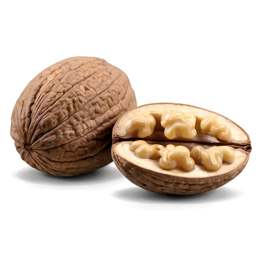 Walnut Kernel Png Wyn