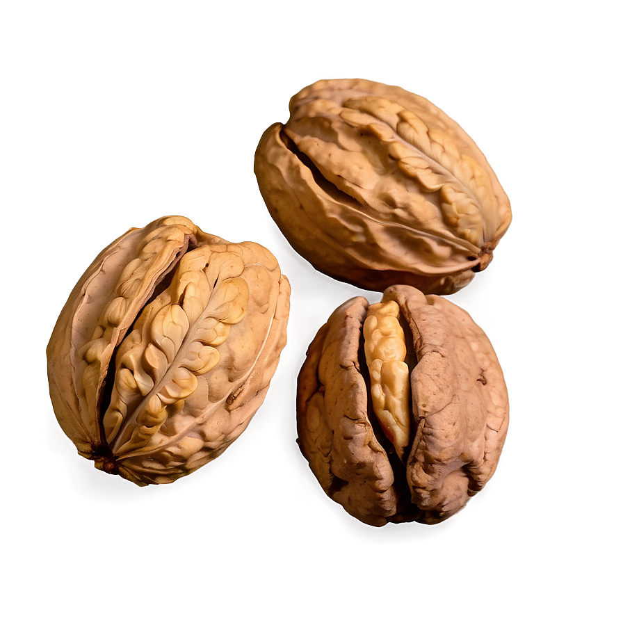 Walnut Png 06122024