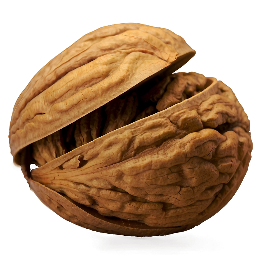 Walnut Png Mvj49