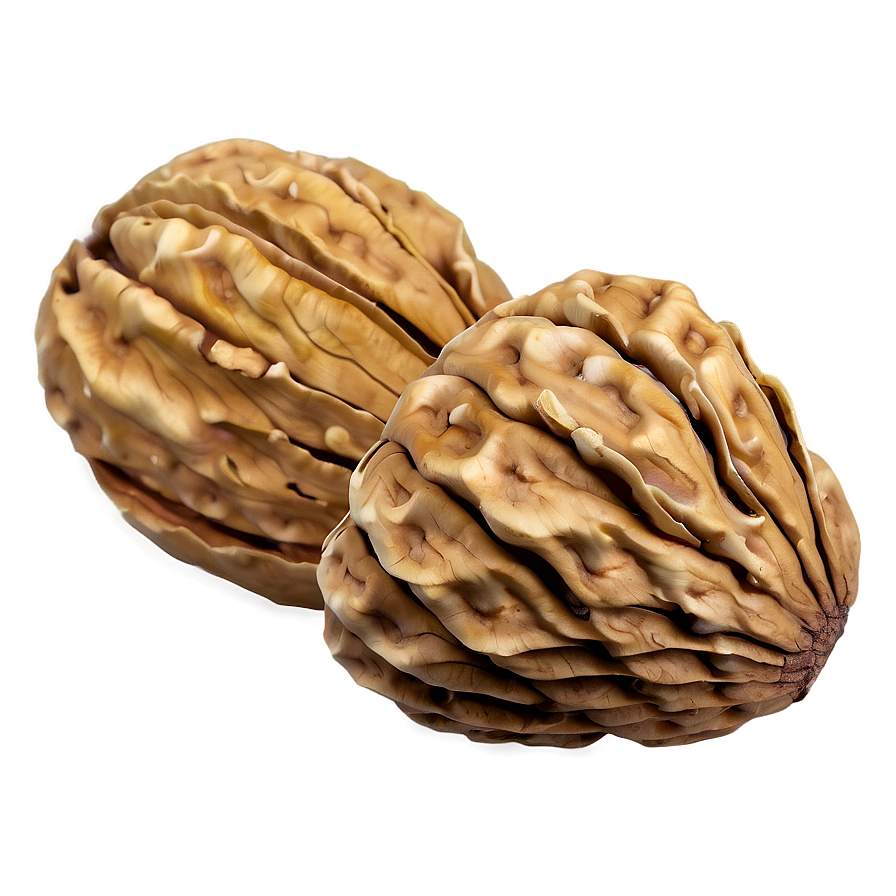 Walnut Shell Png 06122024