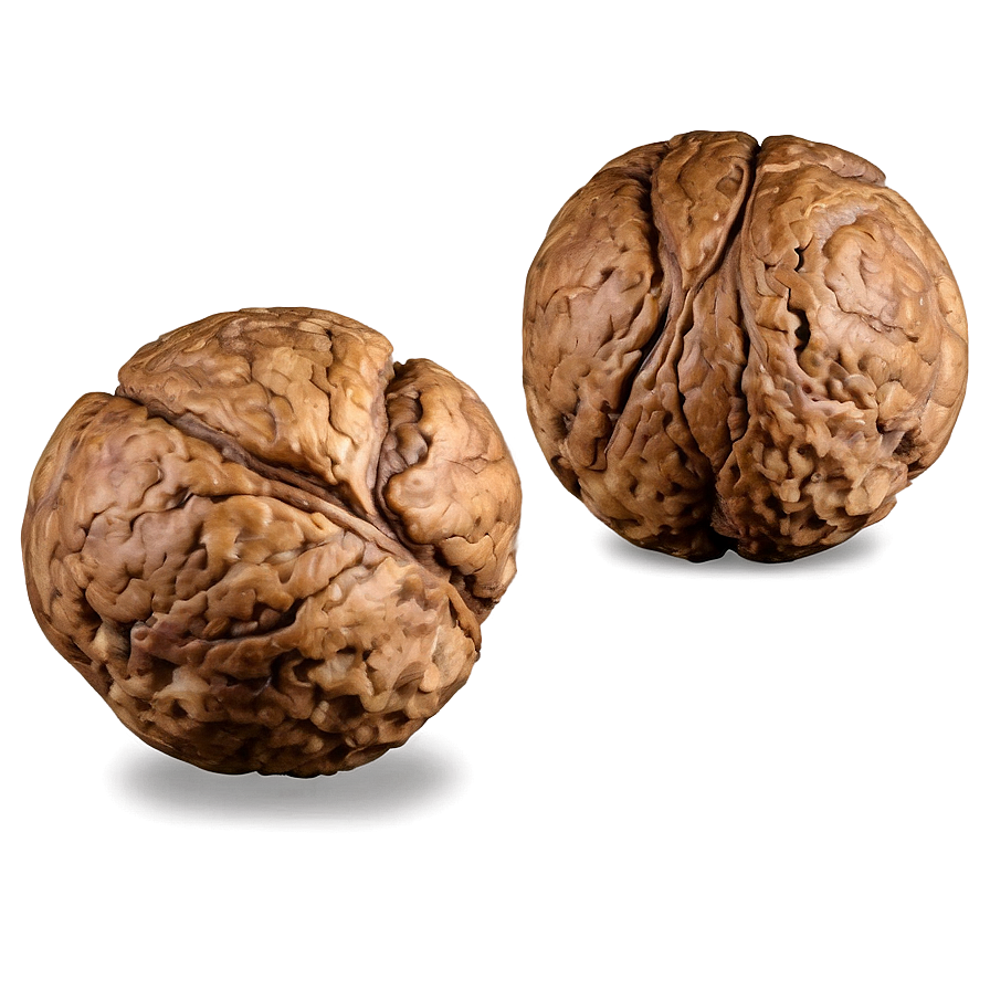 Walnut Texture Png 06122024