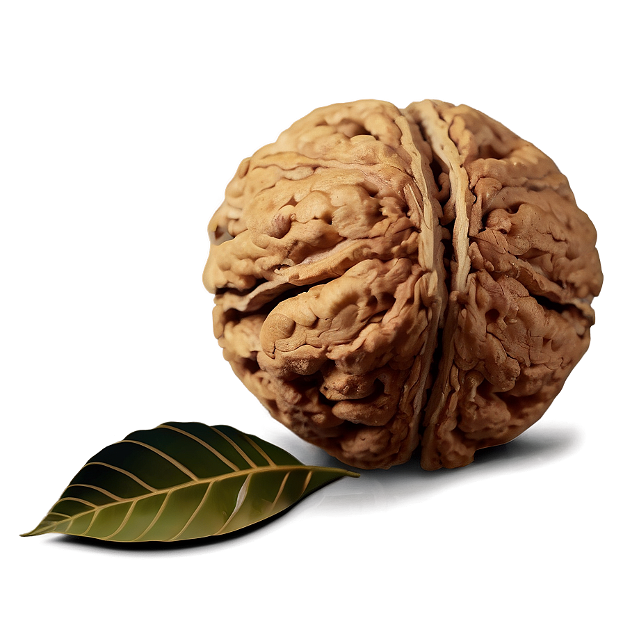 Walnut With Leaves Png Gil