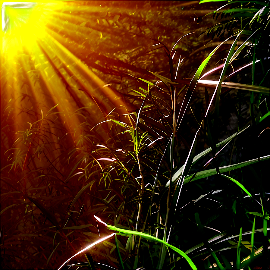 Warm Sun Rays Png Veo85