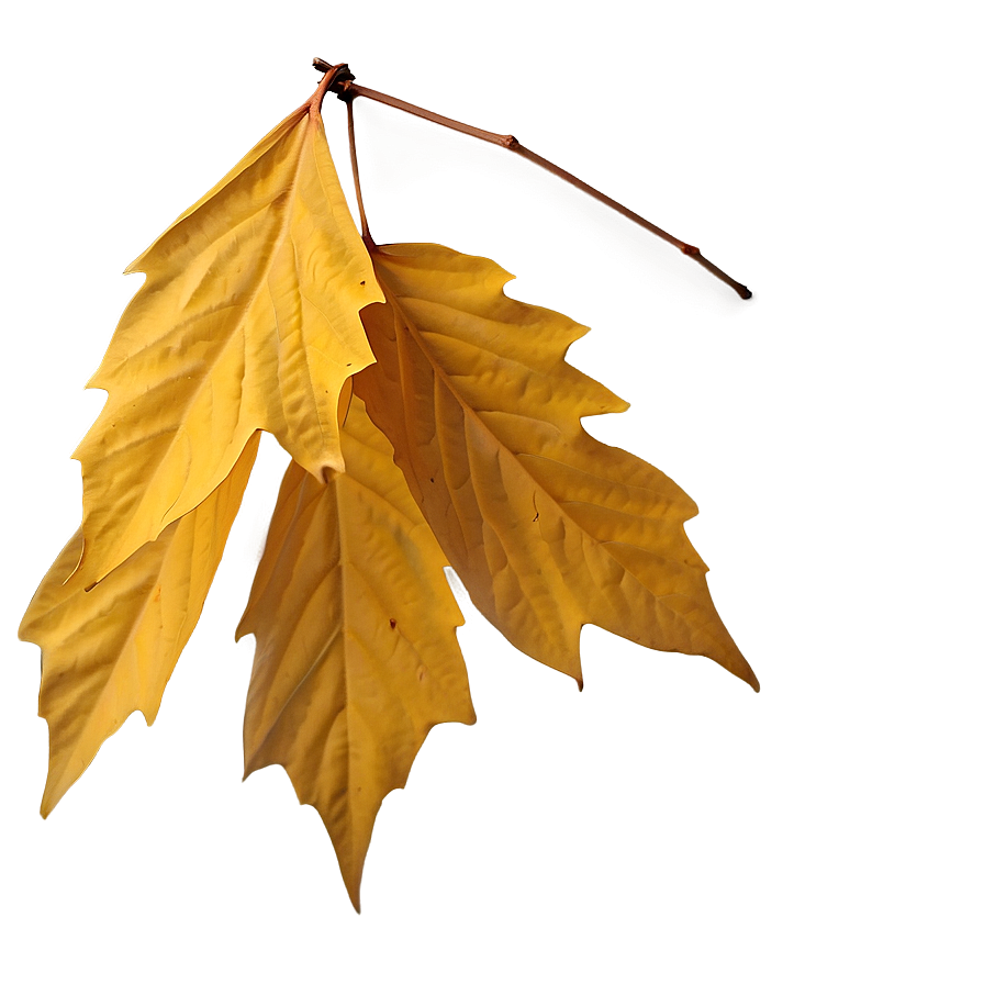 Warm Yellow Autumn Leaves Png 3