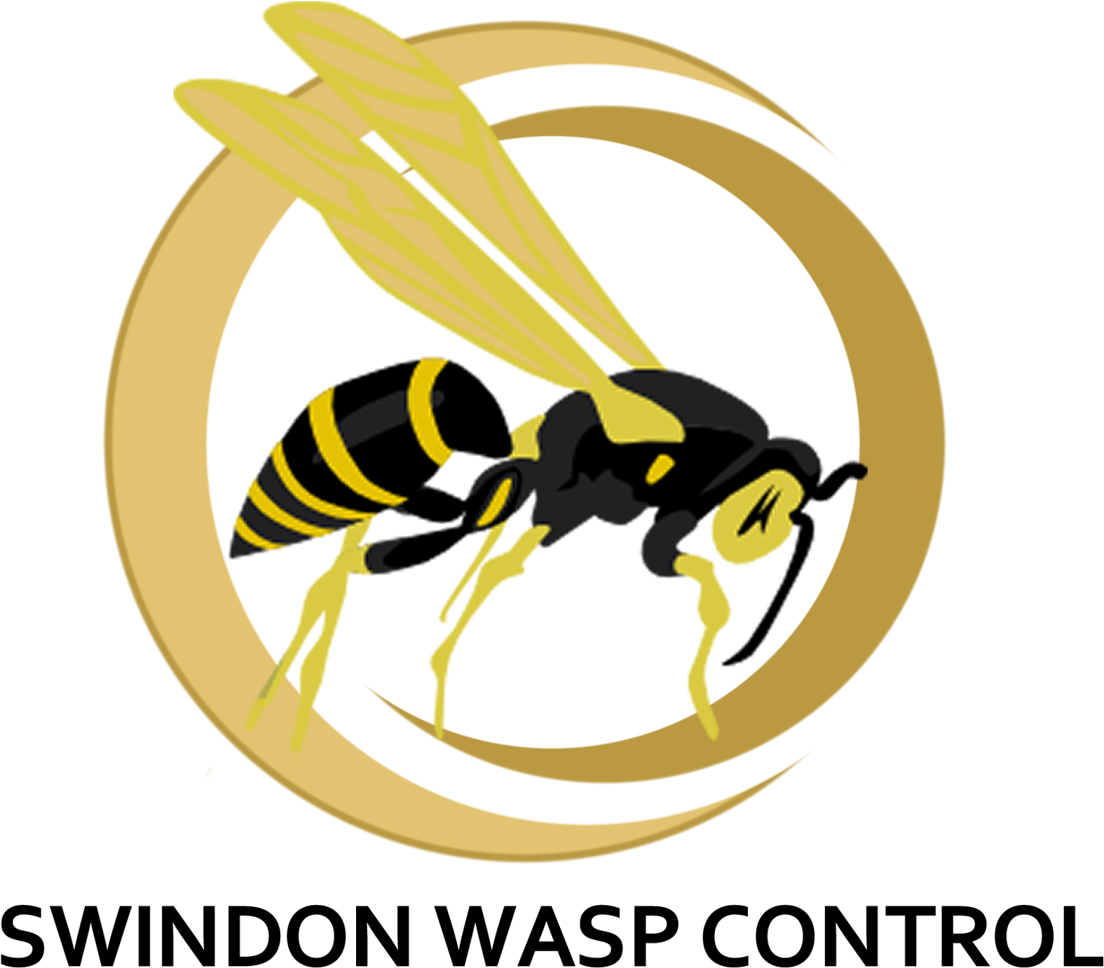 Wasp_ Control_ Service_ Logo PNG with transparent background