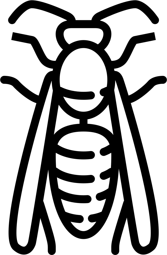 Wasp Icon Outline PNG with transparent background