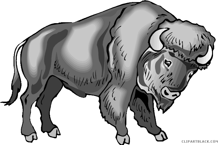 Water Buffalo Clip Art Portable Network Graphics Image - Clipart Buffalo Transparent Background, HD Png Download PNG with transparent background