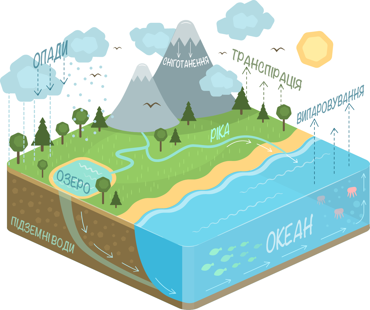 Water Cycle Diagram-uk - Water Cycle Diagram Png, Transparent Png PNG with transparent background
