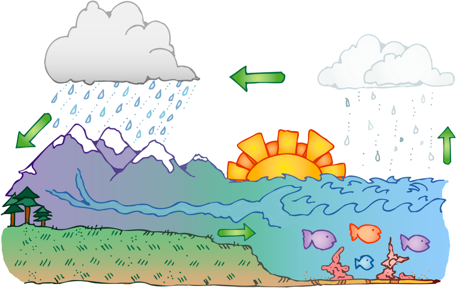 Free Clipart Water Cycle, HD Png Download PNG with transparent background