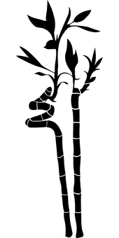 Water Droplet Black Background.jpg PNG with transparent background