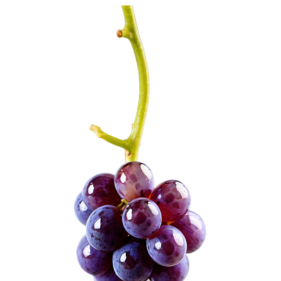 Water Droplet On Grape Png Eey