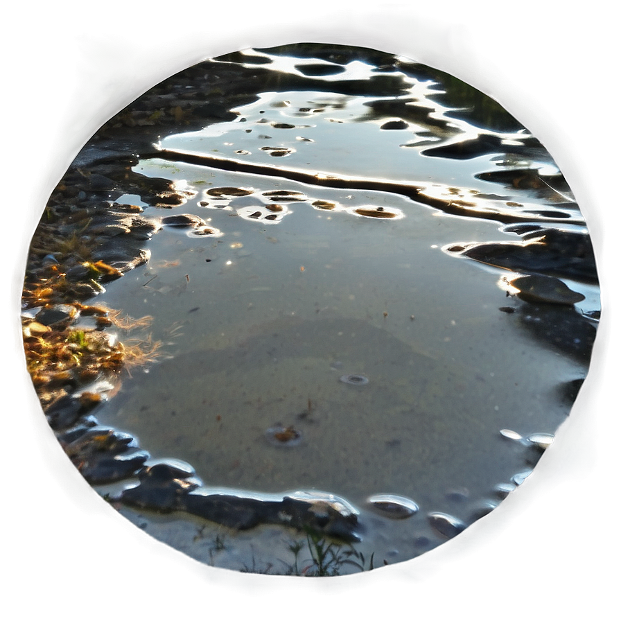 Water Puddle Reflection Png Iep78