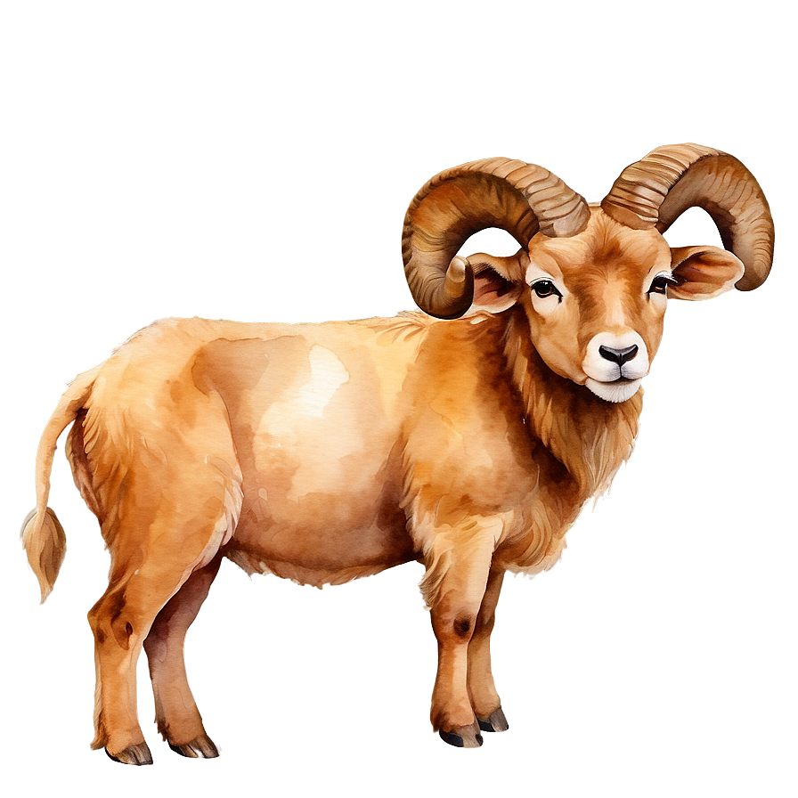 Watercolor Aries Painting Png 7