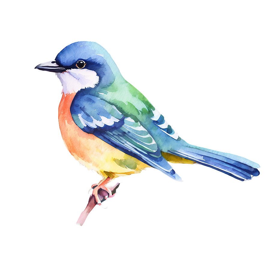 Watercolor Bird Illustration Png 05032024