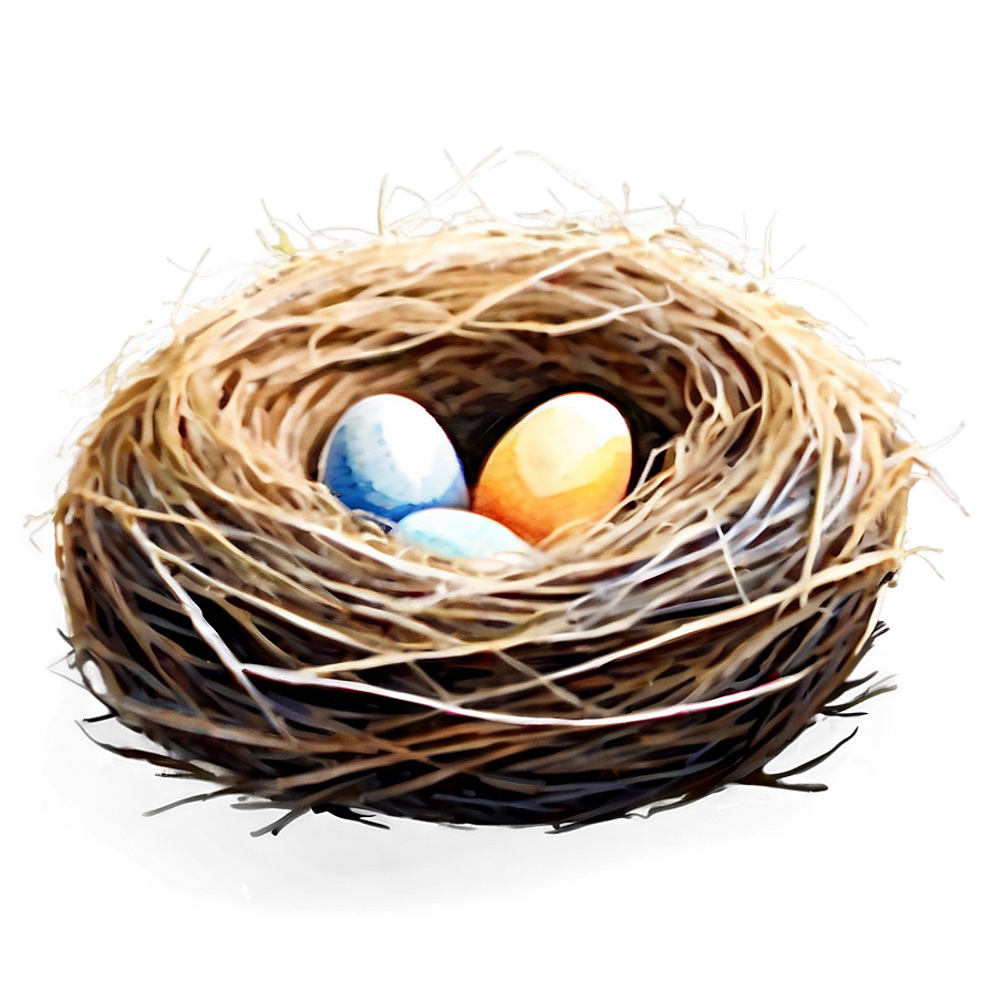 Watercolor Bird Nest PNG cmg PNG image with a transparent background, free high-resolution download