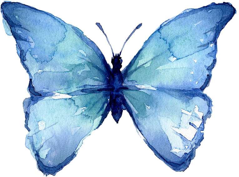 Watercolor Blue Butterfly Artwork PNG with transparent background