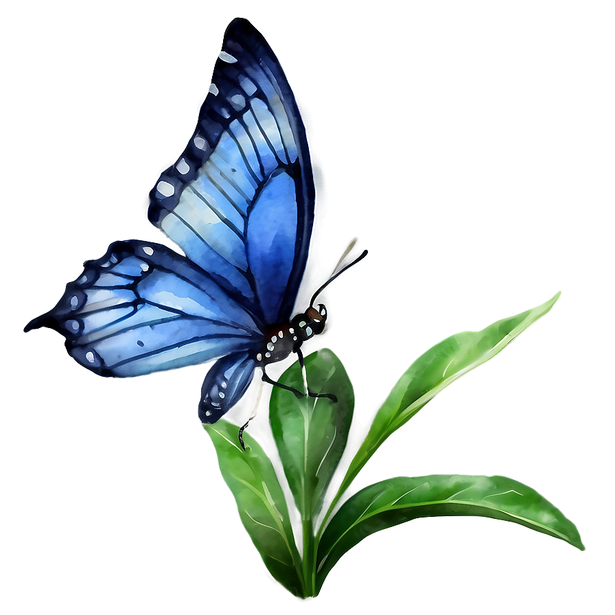 Watercolor Blue Butterfly PNG 05212024 PNG with transparent background