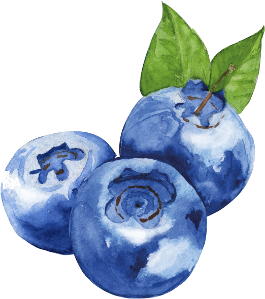 Blueberry - Clipart Watercolor Blueberries, HD Png Download PNG with transparent background