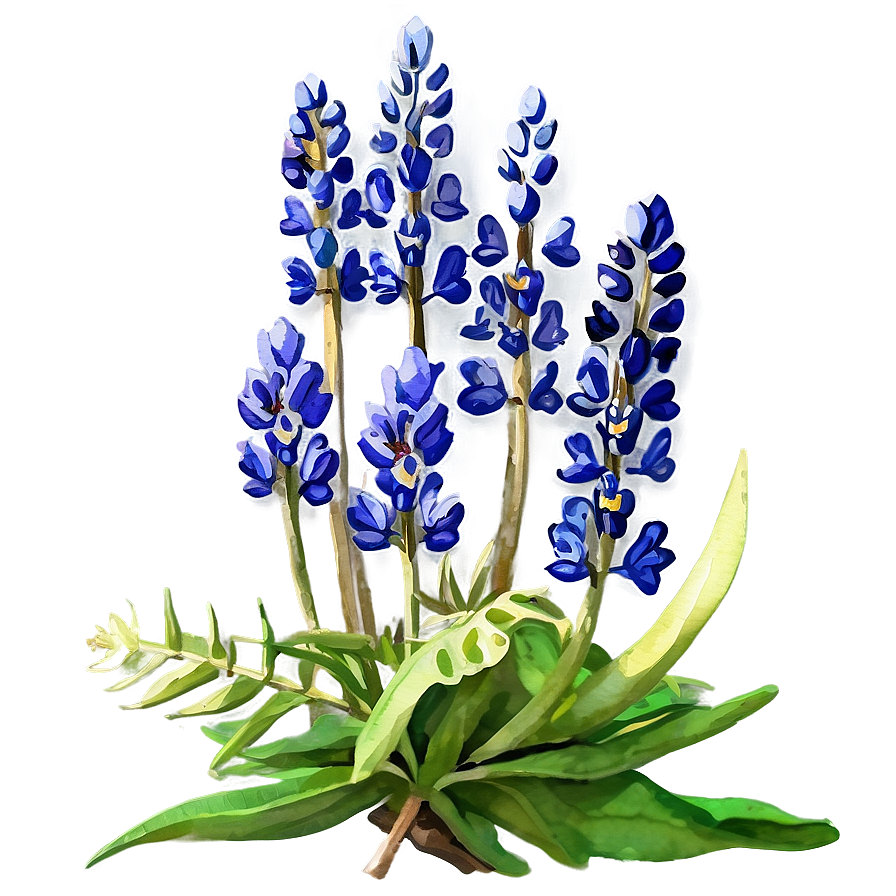 Watercolor Bluebonnet Field Png Ghk78