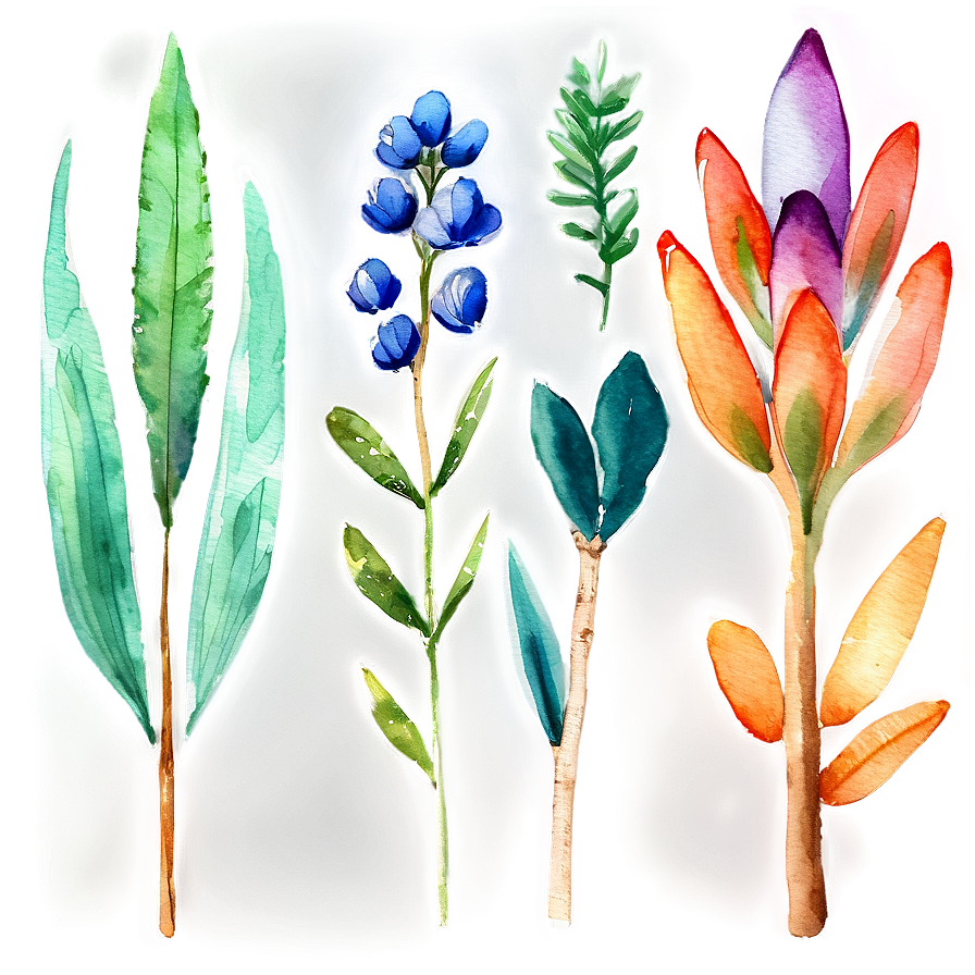 Watercolor Botanicals Clipart Png Pmb13