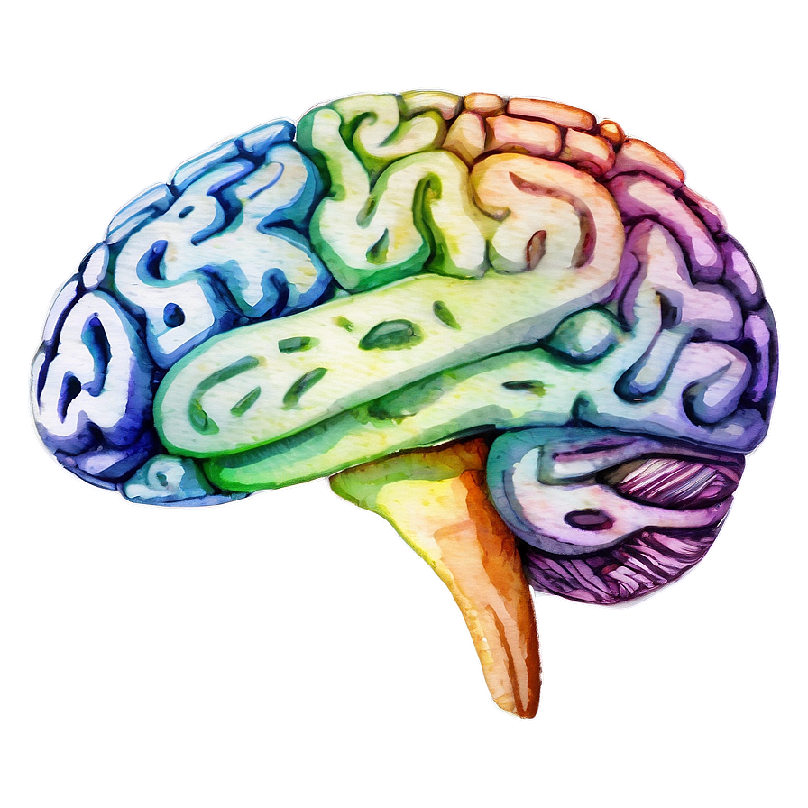 Watercolor Brain Art Png Gfr