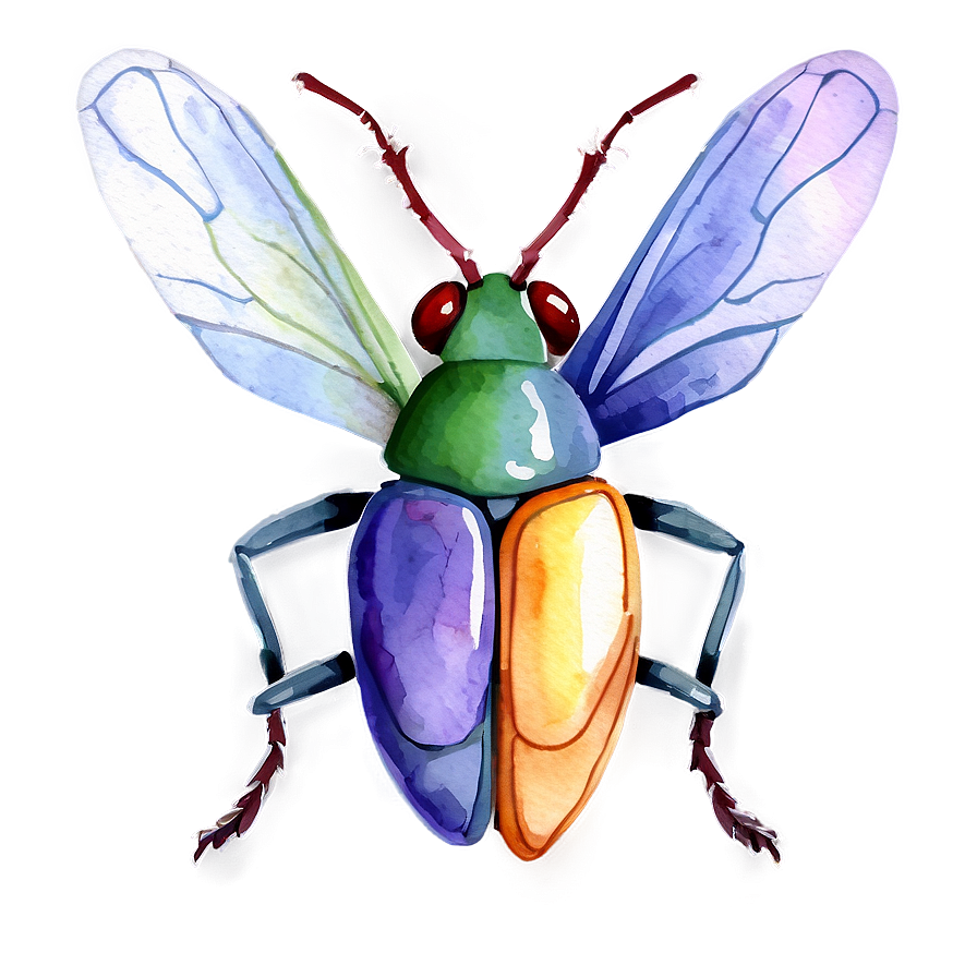 Watercolor Bug Png Sbm