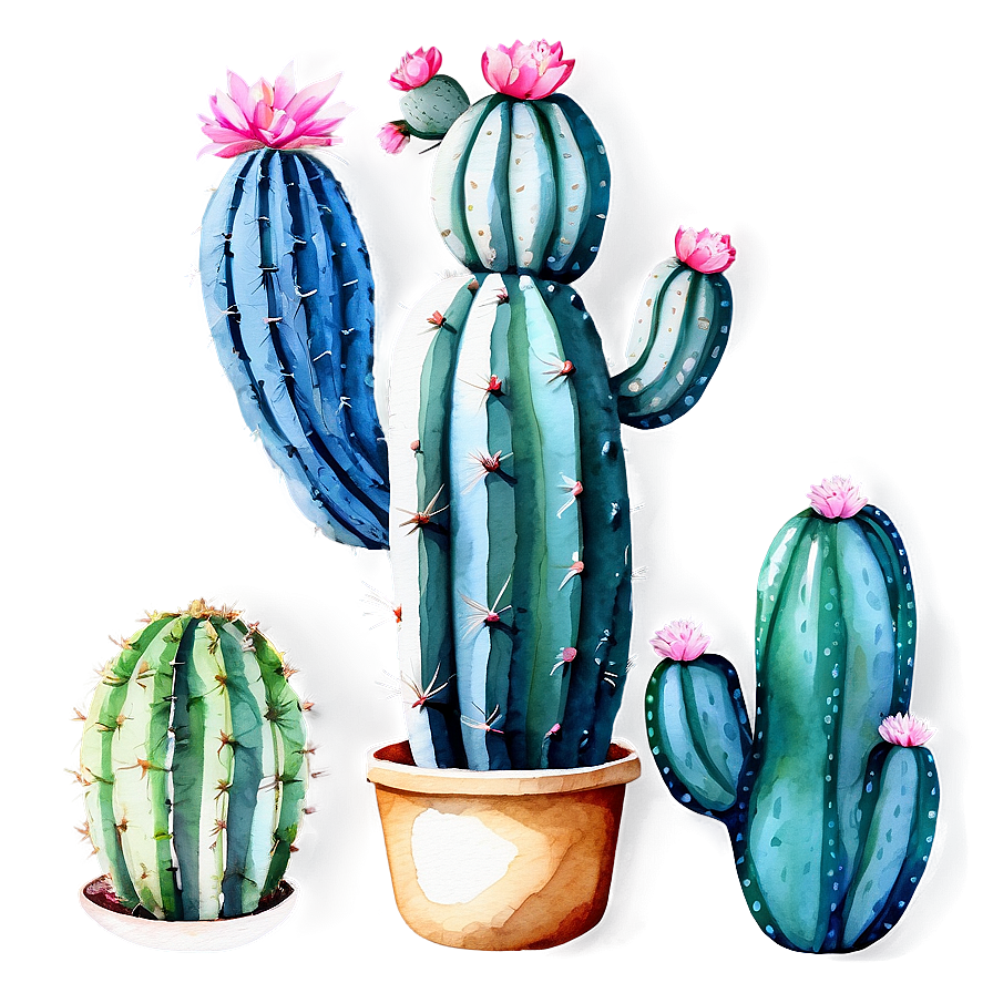 Watercolor Cactus Art Png Rak26