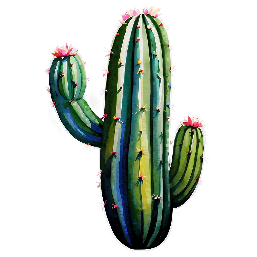 Watercolor Cactus Png 3