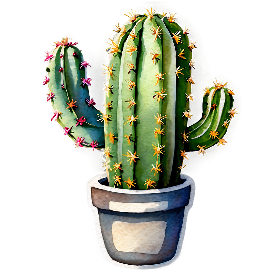 Watercolor Cactus Png Fdk2