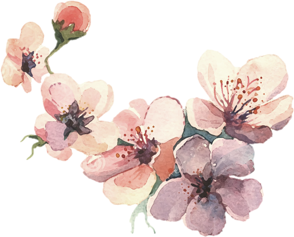 Watercolor Painting Water Color Svg Library Library - Flower Water Paint Png, Transparent Png PNG with transparent background