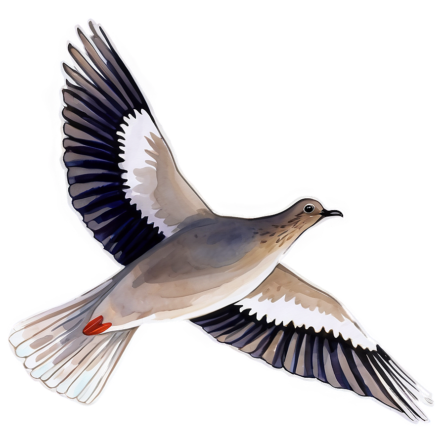 Watercolor Dove Png 63