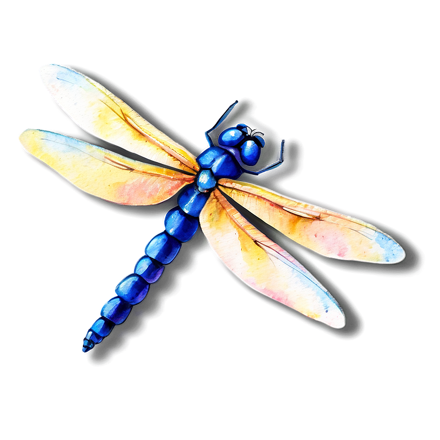 Watercolor Dragonfly PNG 05212024 PNG with transparent background