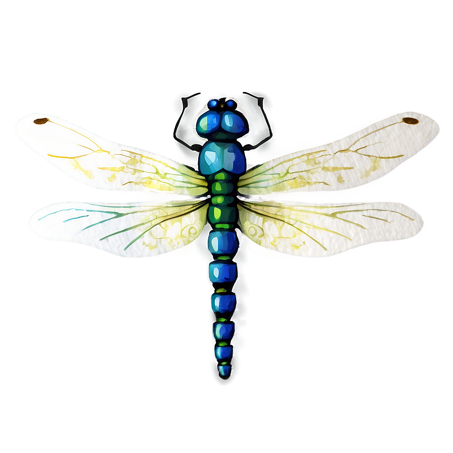 Watercolor Dragonfly PNG 05212024 PNG with transparent background