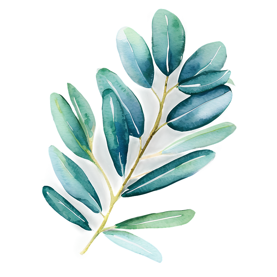 Watercolor Eucalyptus Leaves PNG 05242024 PNG image with a transparent background, free high-resolution download