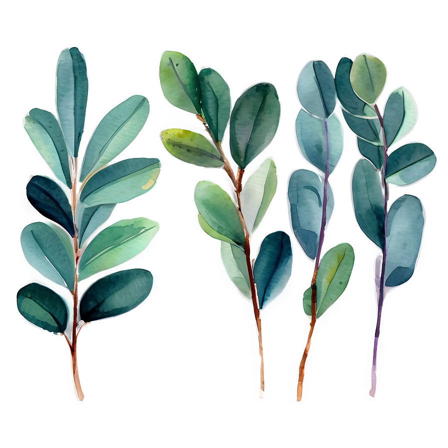 Watercolor Eucalyptus Leaves PNG 05242024 PNG image with a transparent background, free high-resolution download