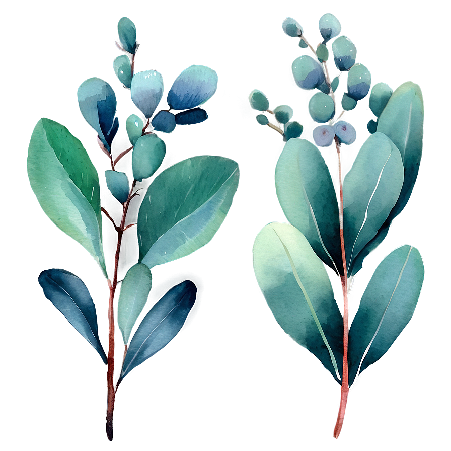 Watercolor Eucalyptus Leaves PNG 21 PNG image with a transparent background, free high-resolution download