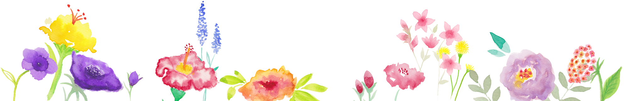 Pastel Flower Header Png, Transparent Png PNG with transparent background
