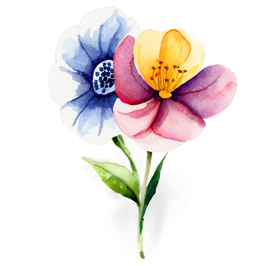 Watercolor Flower Essence Png 36