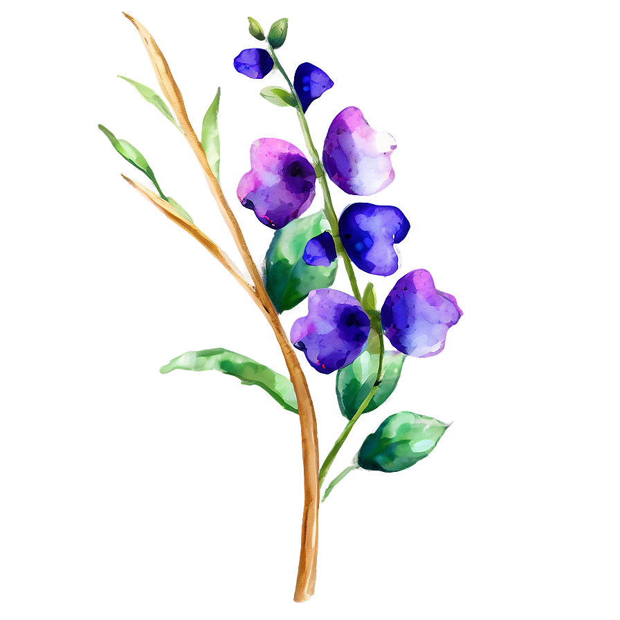 Watercolor Flower Stem Png Klo