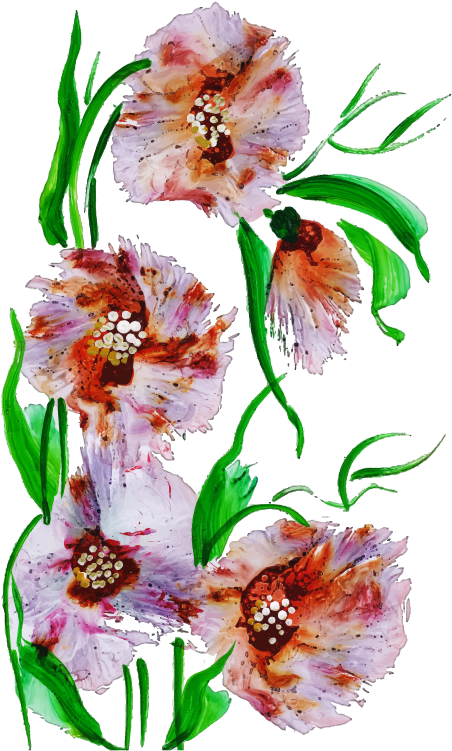 Lily Family, HD Png Download PNG with transparent background