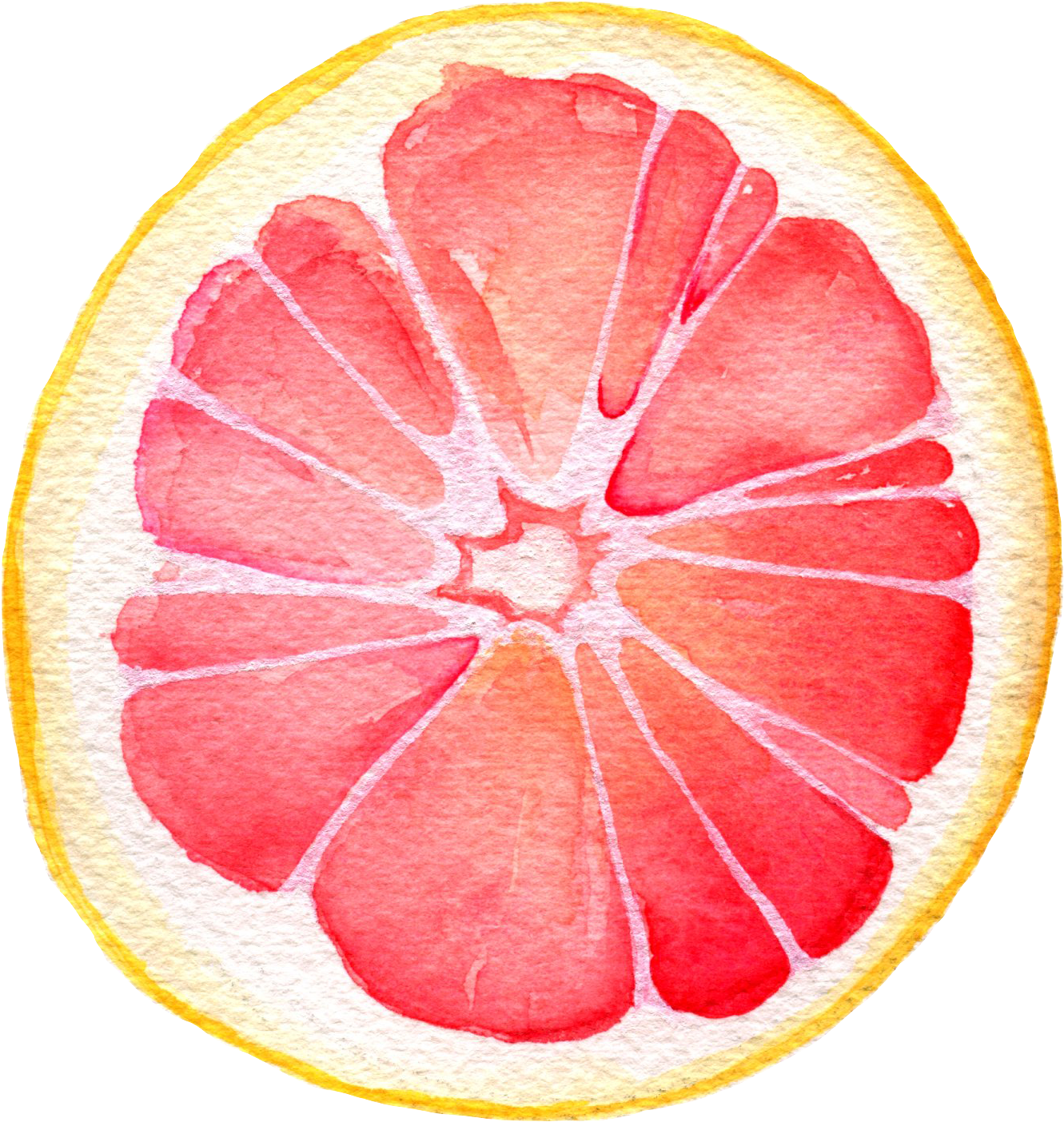 Grapefruit Watercolor Painting , Png Download - Watercolor Grapefruit Png, Transparent Png PNG with transparent background