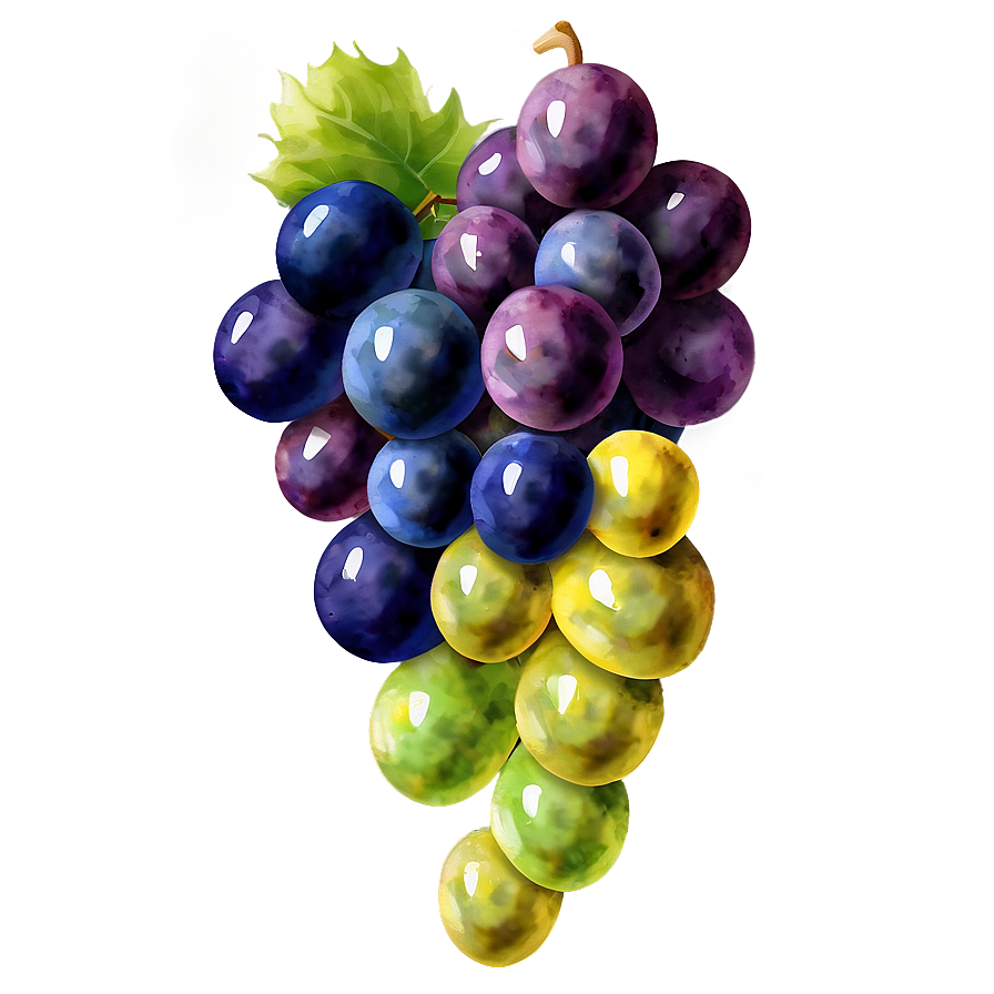 Watercolor Grapes Png Hyg63