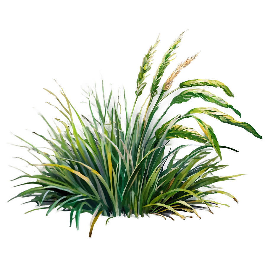 Watercolor Grass Patch Png Jne69