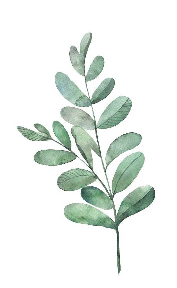 Watercolor Green Leaf Branch PNG with transparent background